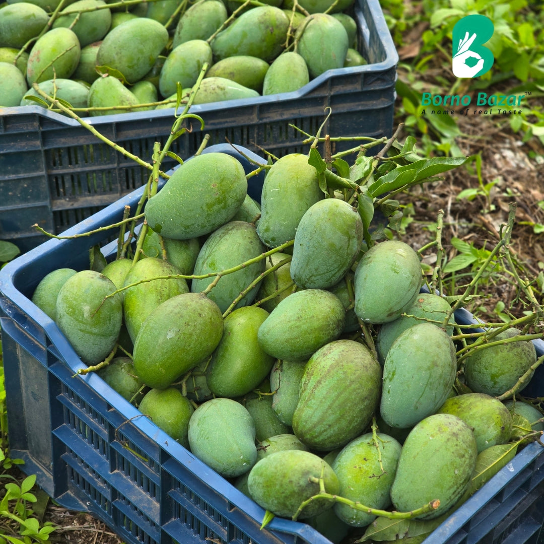 পাহাড়ি আম্রপালি | Pahari Amrapali Mango